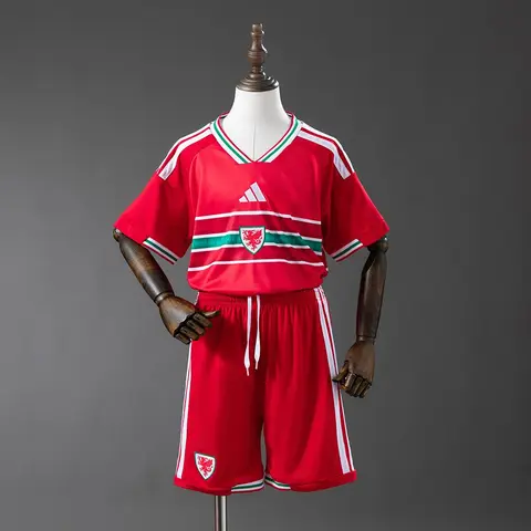 Camisa País de Gales I Copa Infantil 2026