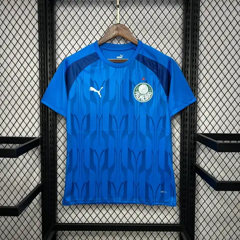 Palmeiras Training Shirt 24/25
