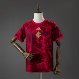 Camiseta Internacional Edición Especial 26/27 Hombre