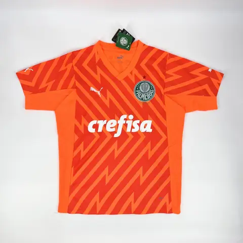 Camisa Palmeiras 24/25 · Goleiro