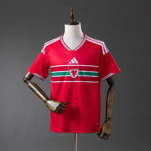 Camisa País de Gales I Copa 2026