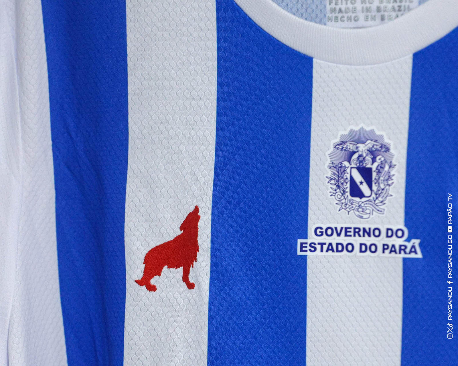 Redaktionelles Foto 4 — Paysandu SC 2026