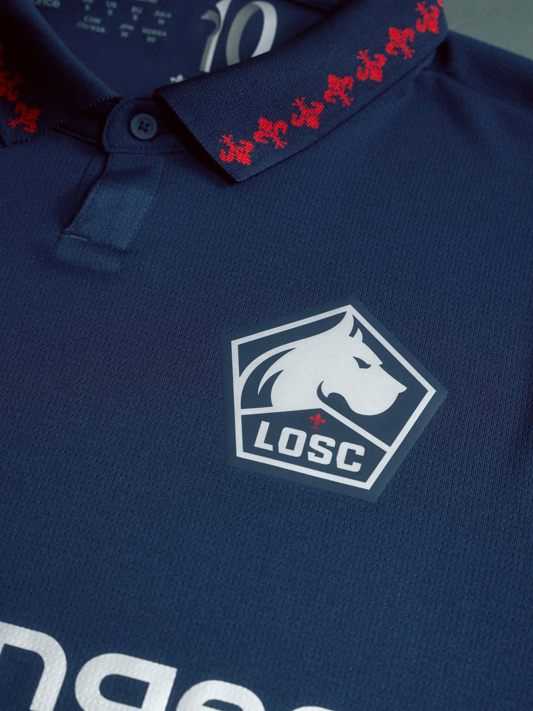 Editorial photograph 3 — LOSC Lille 2026/27