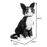 Black and White Cat