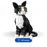 Black and White Cat