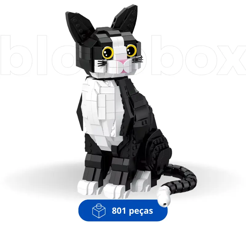 Black and White Cat