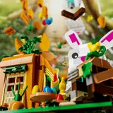 Bunny Carrot House