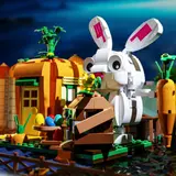 Bunny Carrot House