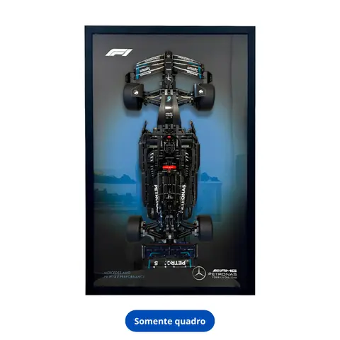 Formula 1 Mercedes W14 Wall Frame No. 6 (50 × 80 cm)