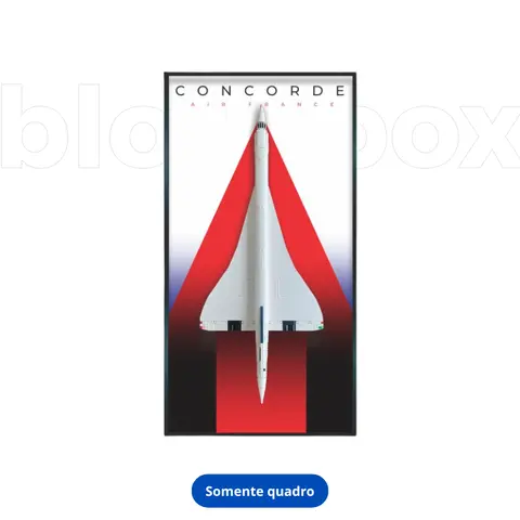 Concorde Wall Frame No. 3 (125 × 60 cm)