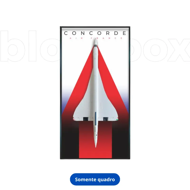 Concorde Wall Frame No. 3 (125 × 60 cm)