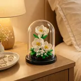 White Orchid in a Glass Dome