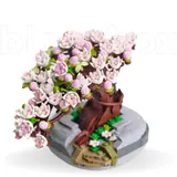 Mini Bonsai