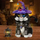 Magic Cat