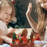Christmas Reindeer