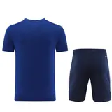 Adidas Blue Training Set T-Shirt and Shorts