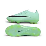 Nike Air Zoom Mercurial Vapor 17 Elite Light Green Firm Ground FG Football Boot
