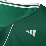 Adidas Green and Black Cold Set Jacket and Pants