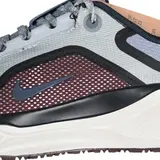 Nike Air Zoom Pegasus 41 Gtx Gray and Dark Red Running Shoes