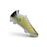 Nike Air Zoom Mercurial Vapor 17 Elite Mbappe Golden Boot Firm Ground FG Football Boot