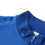 Adidas Blue Cold Set Quarter-Zip Top and Pants - Royal/Light Blue