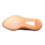 Adidas Yeezy Boost 350V2 Clay Casual Shoes