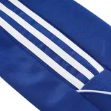 Adidas Cold Set Blue Coat and Pants