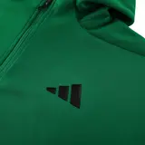Adidas Cold Set Green Coat and Pants