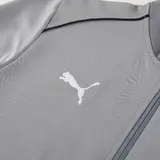 Puma Grey Cold Set Jacket and Pants