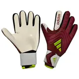 Adidas Copa Pro Energy Citrus Pack Goalkeeper Gloves