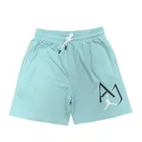 Jordan Light Blue Shorts