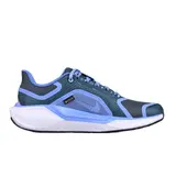 Nike Air Zoom Pegasus 41 Gtx Dark Blue and Blue Running Shoes