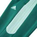 Adidas Green and White Cold Set Jacket and Pants