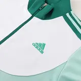 Adidas Green and White Cold Set Jacket and Pants