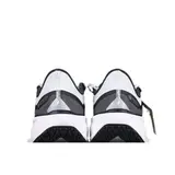 Nike Air Zoom Pegasus 41 Gtx Gray and White Running Shoes