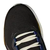 Nike Air Zoom Pegasus 41 Black and Beige Running Shoes