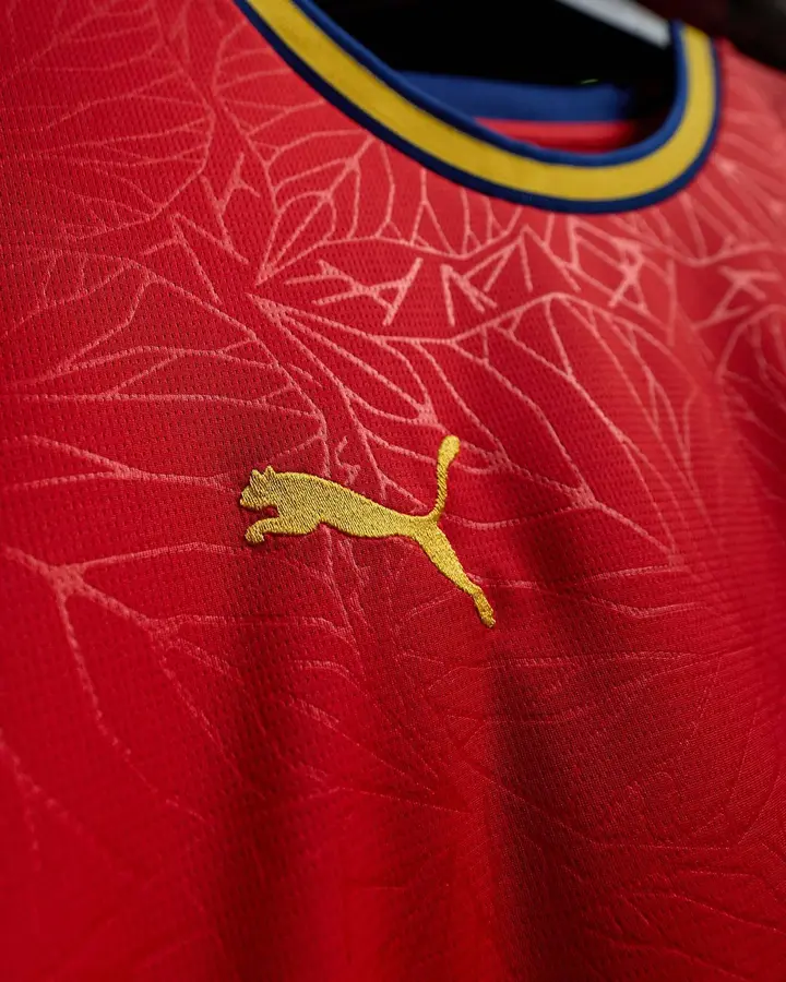 RB Leipzig 2026/27: away shirt · 6